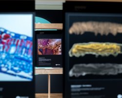 Mechorost jako predátor. Výstava Věda fotogenická ukazuje krásy vědy i humor